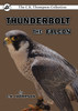 Thunderbolt the Falcon