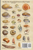 Land Snails of West Virginia