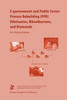 E-government and Public Sector Process Rebuilding
