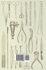 Home Taxidermy or Pleasure and Profit - A Guide for Those Who Wish to Prepare and Mount Animals, Birds, Fish, Reptiles, Etc., for Home, Den or Office Decoration