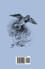 A Bird Watcher's Note Book - Studies Of Woodcock, Snipe And Other Birds