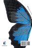 The Butterfly Wings