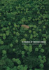 In Search of the Rain Forest