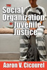 The Social Organization of Juvenile Justice