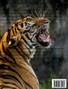 I AM ANIMAL