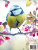 I AM BIRD