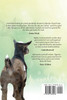 Nigerian Dwarf Goats Care