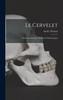 Le Cervelet