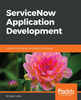 ServiceNow Application Development