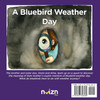 A Bluebird Weather Day