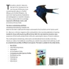 The Bird Whispers and the Bird Whisperer