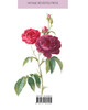 Les Roses
