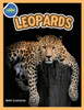 The Amazing World of Leopards Booklet with Activities ages 4-8