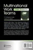 Multinational Work Teams
