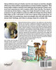 Drew Bees Gets a Foster Home!