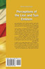 Perceptions of Lion and Sun Emblem