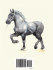 A Percheron Memorial Day