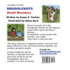 Droogledots - Small Wonders
