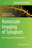Nanoscale Imaging of Synapses