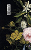 La primer flor del Carmelo