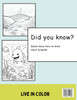 Aquarium Animals Coloring Book