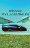Winning My Lamborghini