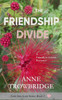 The Friendship Divide