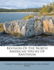 Revision Of The North American Species Of Xanthium