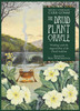 Druid Plant Oracle