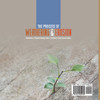 The Process of Weathering & Erosion | Introduction to Physical Geology Grade 3 | Children's Earth Sciences Books