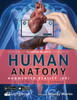 Human Anatomy in Augmented Reality AR