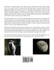 Photographer's Guide to the Nikon Coolpix P610