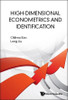 High-Dimensional Econometrics and Identification