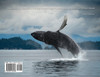 Alaska's Prince William Sound