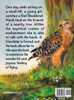 Upon a Hawk I Flew