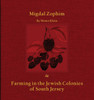 Migdal Zophim