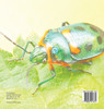Who Likes Bugs? We Do! Animal Book Age 8 | Children's Animal Books