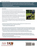 Family Companion Dog  An Owner's Manual For Relationship Centered Leadership