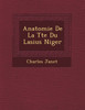 Anatomie De La T�te Du Lasius Niger