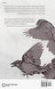 hell of birds