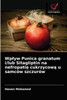 Wpływ Punica granatum i/lub Sitagliptin na nefropatię cukrzycową u samców szczurów
