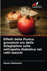 Effetti della Punica granatum e/o della Sitagliptina sulla nefropatia diabetica nei ratti maschi