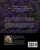 Blue Violet on the Meadow Slowly Took to Wandering