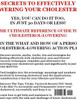 Lower Your Cholesterol in 33 Days