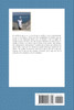 Compilaciones Mentales I