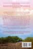 Sunrise At Pelican Beach LARGE PRINT (Pelican Beach Book 5)