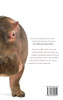 Hippos The Ultimate Hippo Book for Kids