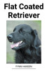 Flat Coated Retriever