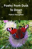 Poetry From Dusk To Dawn