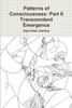 Patterns of Consciousness